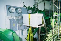 Screen bee escape over meter
