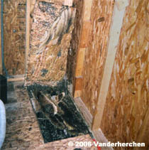 A Shed floor lifted up
