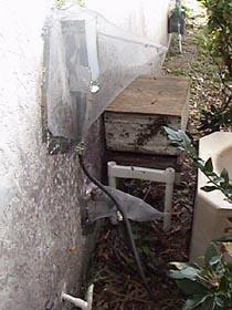 Bee scape over electric box