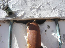 Bees enter here