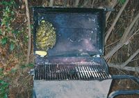 BBQ grill