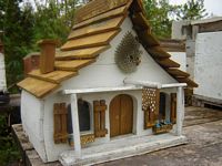 Cute bird house